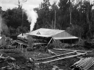 Sawmill, probably in the Taranaki region