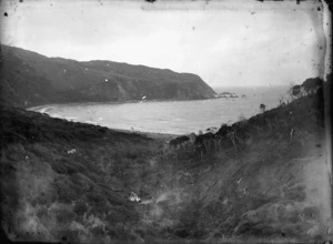 Te Ikaamaru Bay, Wellington