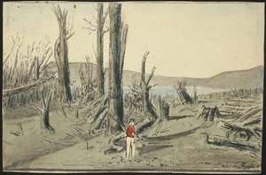 Artist unknown :[Destroyed vegetation near Te Wairoa after eruption of Tarawera Mountain. 1886].