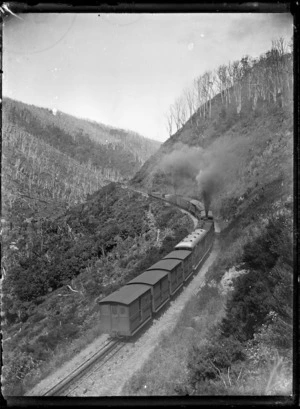 Train on a bend ascending the Rimutaka Incline