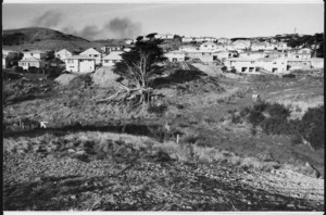 Scene in the Wellington suburb of Newlands