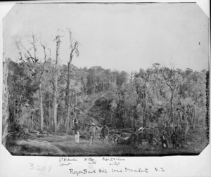 Scene showing Razorback Hill on the road to Waikato