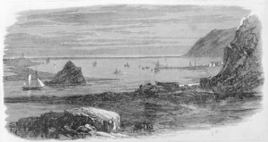 Illustrated London news :Natural breakwater and harbour at Nelson, New Zealand. 1868