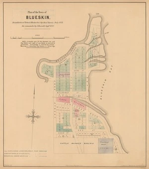 Plan of the town of Blueskin [electronic resource] : boundaries of town & blocks 1 to 3 / by Alex'r Garvie, July 1859, the remainder by J. Russell, Sept'r 1870 ; W. Spreat, lith. ; J.T. Thomson, chief surveyor, November 8th, 1870.