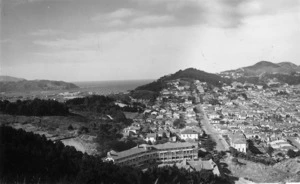 Overlooking Ewart Hospital and Coromandel Street, Newtown, Wellington