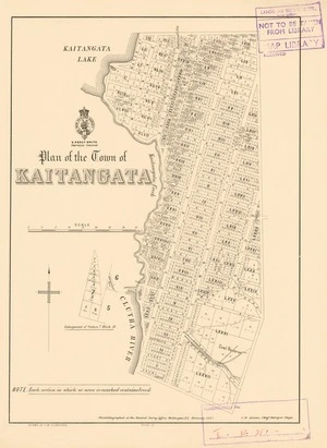Plan of the town of Kaitangata [electronic resource] / drawn by F.W. Flanagan.