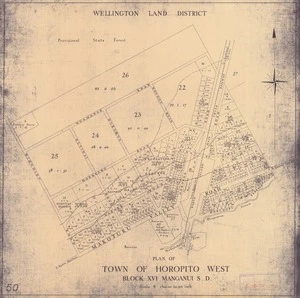 Plan of town of Horopito West [electronic resource] : Block XVI Manganui S. D.