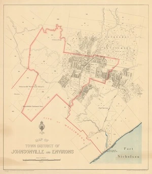Map of town district of Johnsonville and environs [electronic resource].