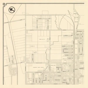 City of Palmerston North [electronic resource].