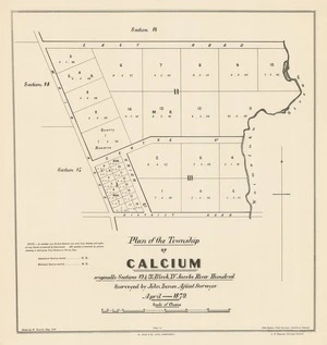 Plan of the township of Calcium [electronic resource] : originally sections 19 & 20, block XV Jacobs River hundred / surveyed by John Innes, assist. surveyor; drawn by W. Deverell.