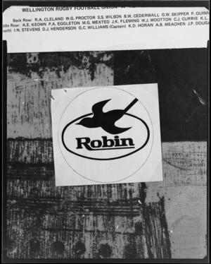 Robin logo