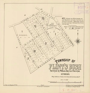 Township of Flint's Bush [electronic resource] : being subdivision of sections 21 & 22 Block VII Jacobs River Hund.d / surveyed by William Hay, asst. surveyor, October, 1878 ; J.C. Potter delt. November 13th 1878.