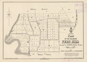 Plan of the village of Fern Hill [electronic resource] surveyed by T.B. McNeil, October 1879 ; drawn by J.M. Fraser, Jan. 1880.