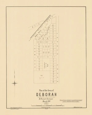 Plan of the town of Deborah [electronic resource] / drawn by F.W. Flanagan ; photo-lithographed by A. McColl ; H. Prevost, surveyor, March 1876.