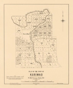 Plan of the town of Kuriwao [electronic resource] / W.J. Hall, surveyor, October 1876 ; drawn by F.W. Flanagani, January 16th 1877.