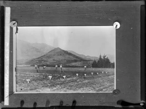 World War 1 veterans tending crops