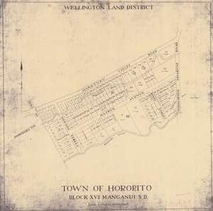 Town of Horopito [electronic resource] : Block XVI Manganui S. D.