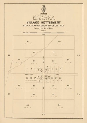 Makaka village settlement [electronic resource] : Block X Kaupokonui Survey District / surveyed by J. Bird.