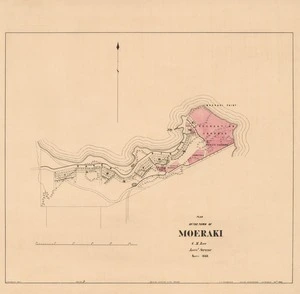Plan of the town of Moeraki [electronic resource] / [surveyed by] G.M. Barr.