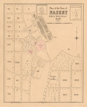 Plan of the town of Naseby [electronic resource] / [surveyed by] D. Barron May 1876 ; photo-lithographed by A. McColl ; drawn by F.W. Flanagan, August 22nd 1876.