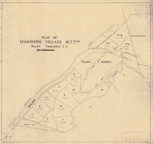 Plan of Makohine village settmt. [electronic resource] : blk XVI, Tiriraukawa S.D.