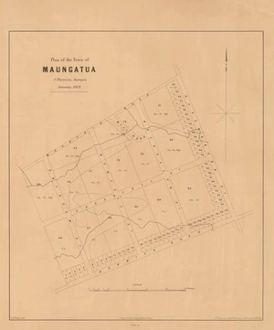 Plan of the town of Maungatua [electronic resource] / S. Thomson, Surveyor, January 1869.