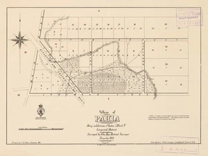 Village of Pahia [electronic resource] : being subdivision of section 3 block V Longwood District / surveyed by John Hay, District Surveyor, November 1881 ; drawn by J.G. Clare, January 1882.