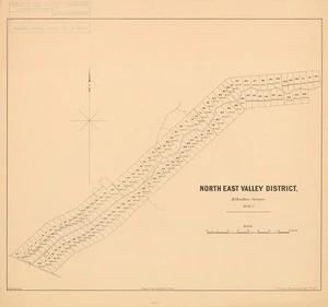 North East Valley District [electronic resource] / H. Charlton, surveyor ; W. Spreat, Lith.