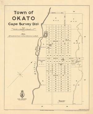 Town of Okato, Cape Survey Dist. [electronic resource].