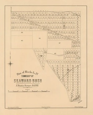 Plan of blocks I to IV, township of Seaward Bush [electronic resource] / N. Prentice, surveyor, Feby. 1876 ; drawn by F.W. Flanagan, Decr. 19th. 1876.