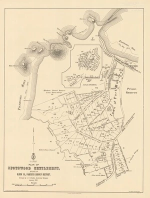Plan of Spotswood settlement, situate in Block IV, Paritutu Survey District [electronic resource] survey by L.C. Sladden ; F.W. Flanagan, chief draughtman ; James Mackenzie, chief surveyor, Taranaki.