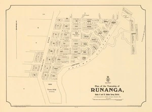 Plan of the township of Runanga [electronic resource] / A.N. Harrop and N.L. Falkiner, Surveyors, November 1903 ; F.J. Harrop : delt. 19.11.03.