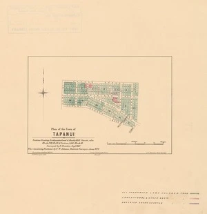 Plan of the town of Tapanui [electronic resource] : sections fronting Northumberland & Bushy Hill Streets, also blocks VIII, IX & X &sections 4, 5, 6 block II / surveyed by N. Prentice, Sept. 1867 : the remaining sections by C.W. Adams, District Surveyor, June 1873 ; F.W. Flanagan, delt.