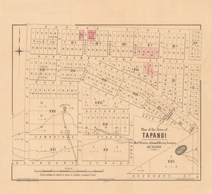 Plan of the town of Tapanui [electronic resource] / Messrs. Prentice, Adams & Murry surveyors, 1867, 1873 & 1876.