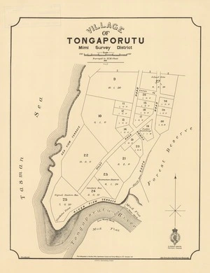 Village of Tongaporutu, Mimi Survey District [electronic resource] / surveyed by H.M. Skeet.