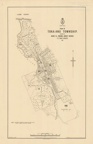 Plan of Toka-Anu township, situated in Block VI, Pukawa Survey District / H.J. Biggs, surveyor.