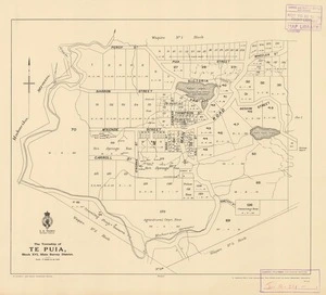 The township of Te Puia [electronic resource] : Block XVI, Mata Survey District / W.H. Skinner, Chief Surveyor, Hawke's Bay.