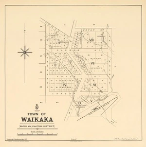 Town of Waikaka [electronic resource] : (block XIV, Chatton District) / drawn by R. Anderson