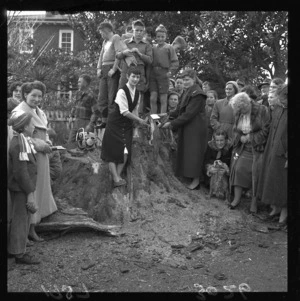 Placing a wreath on the remains of a felled redwood tree, Upper Hutt