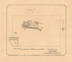 Plan of the town of Waipori / surveyed by Messrs. Johnston & Mackenzie ; F.W. Flanagan, delt.