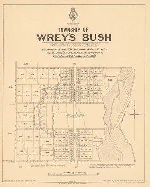 Township of Wrey's Bush (Wairio District) [electronic resource] / surveyed by F.H. Geisow, John Innes and James Blaikie, surveyors, October 1868 to March 1881 ; drawn by W.T. Nelson, February 1890.