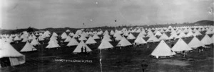 World War 1 military camp at Rangiotu