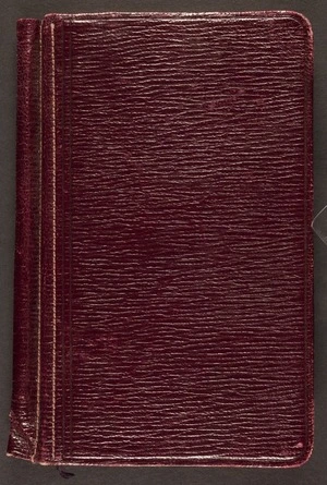 World War One diary (III)