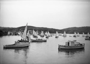 Yachts and other boats on Porirua Harbour at Paremata