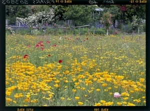 View of the garden at `Briar Rose Cottage, Motueka