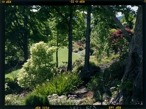 View of `Ayrlies' a garden near Whitford, Auckland