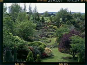 View of `Maple Glen,' a garden near Wyndham, Southland