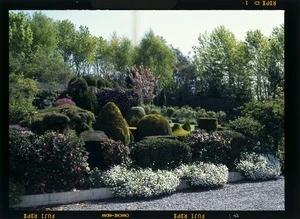 View of `Suzette Gardens,' Rakaia, Canterbury