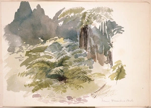 [Hodgkins, Isabel Jane] 1867-1950 :Ferns, Ravensbourne Park. [Late 1880s]