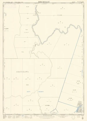 Birchville [electronic resource] / drawn by P. Davis-Goff.